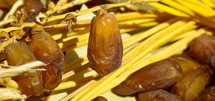 KALAU BUKAN DARI SALAFY, SAYA GAK MAKAN KORMA