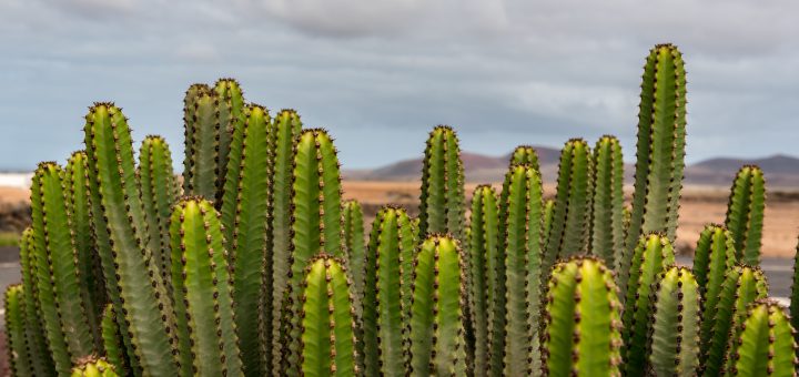 Hukum berteman dengan orang yang tidak menjaga salat