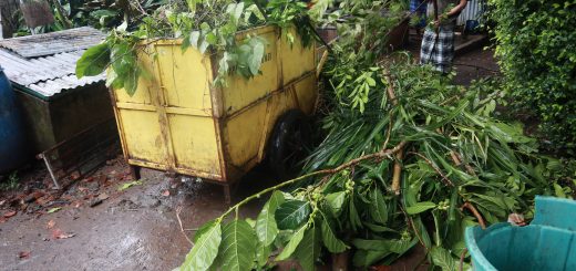 Kerja bakti lingkungan santri