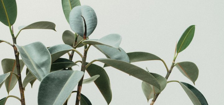 Hukum berdiri ketika orang datang