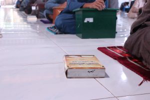 Ujian miniatur kehidupan