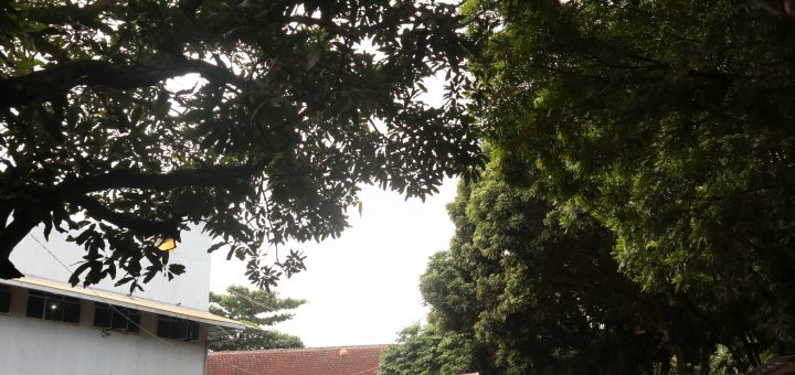 Update penerimaan takhasus