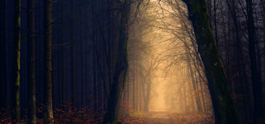 Bolehkah ziarah kubur pada hari tertentu