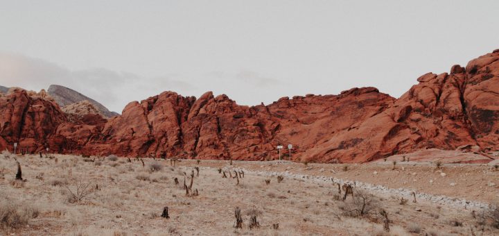 Imam Yahya bin Bukair