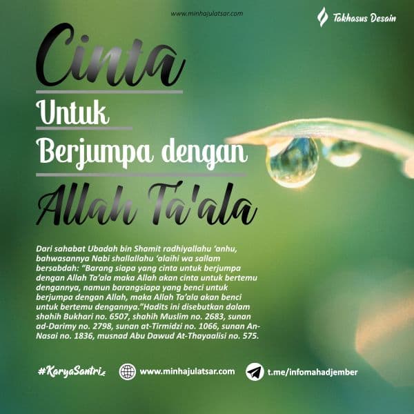 Cinta Untuk Berjumpa Dengan Allah Ta'ala